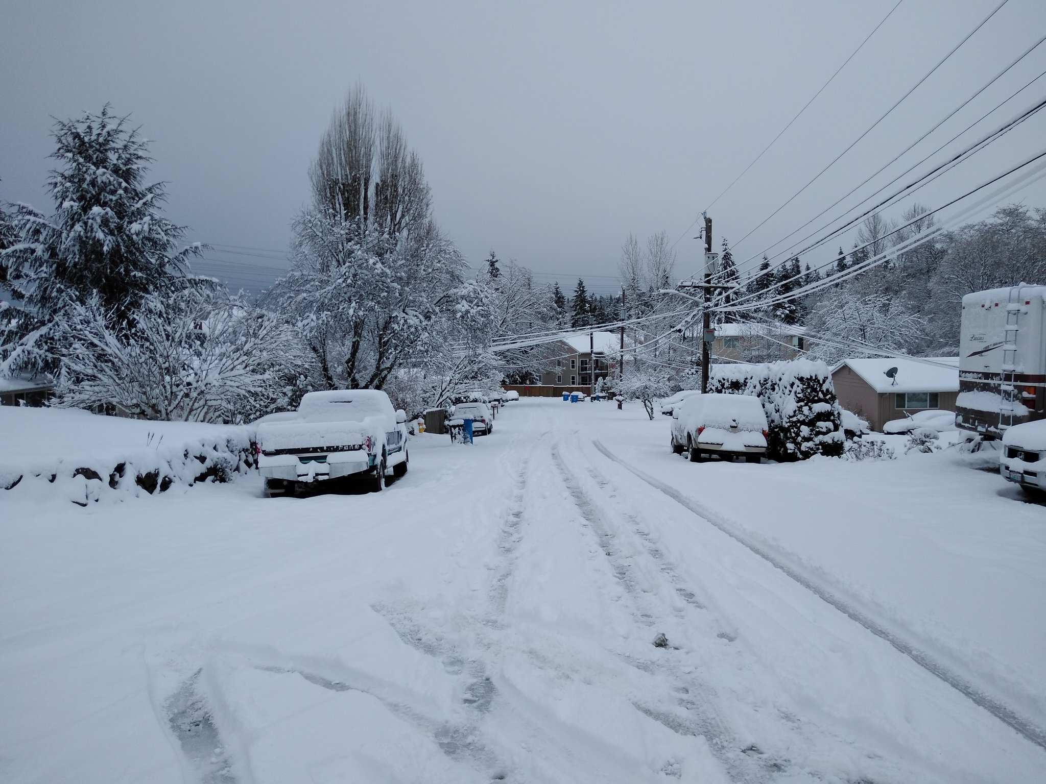 Working class residential neighborhood in Shoreline, in northern King County, Feb. 9. Photo: Charles Susat.