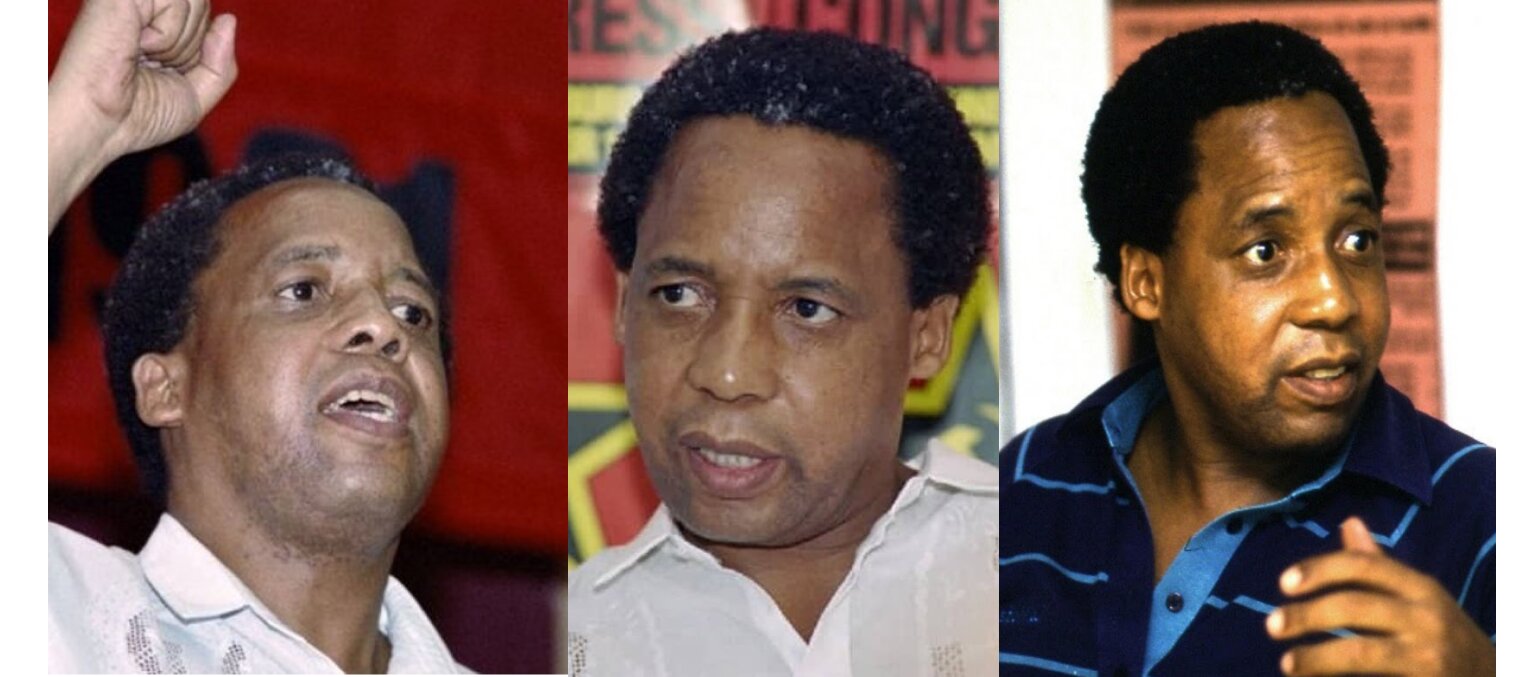 Six Things You Should Know About South African Revolutionary Chris Hani ...